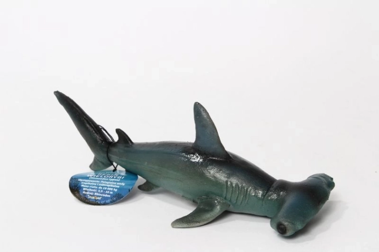 Squalo martello 21 cm