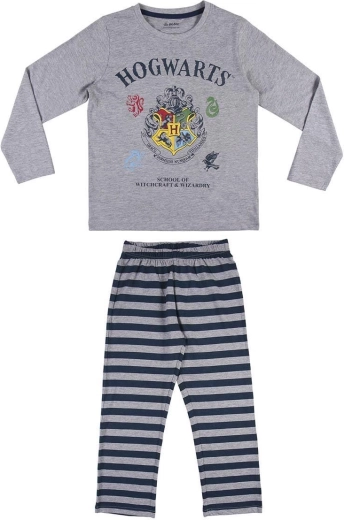 Motivo Hogwarts per i fan di Harry Potter