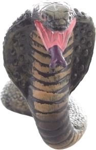 Dimensioni compatte per piccoli esploratori