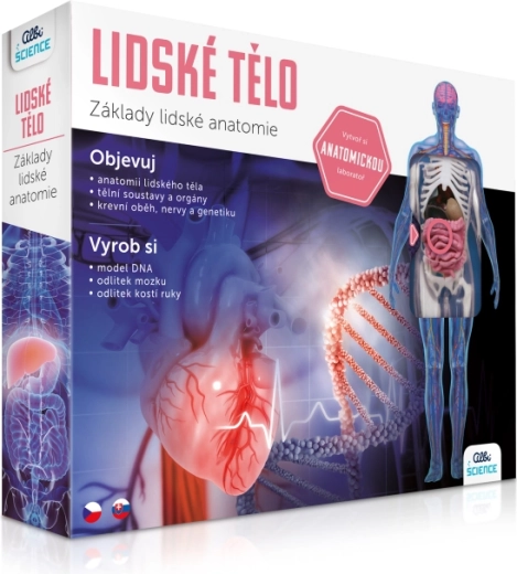 Guida all'anatomia per bambini