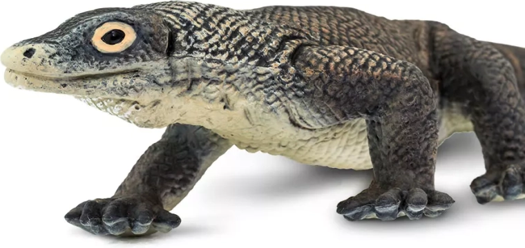 Scelta sicura, atossica e più rispettosa