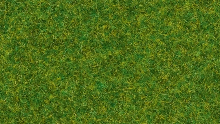 Erba statica Noch prato ornamentale 2,5 mm