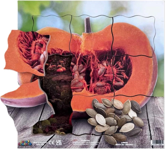 Just Jigsaws zucca e sue fasi di crescita vegetativa – puzzle stratificato in legno, 19 pezzi