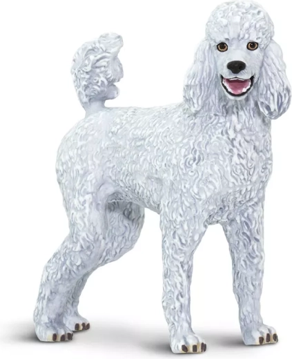 Raffigurazione realistica del pelo riccio