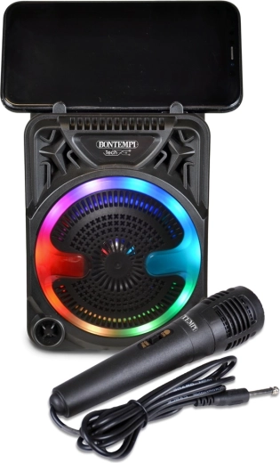 Divertimento karaoke con microfono incluso nella confezione