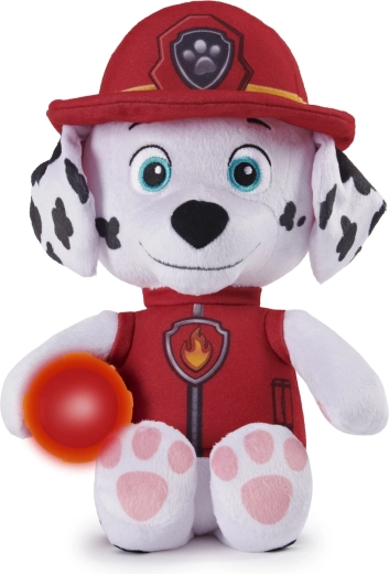 Eroe PAW PATROL amatissimo
