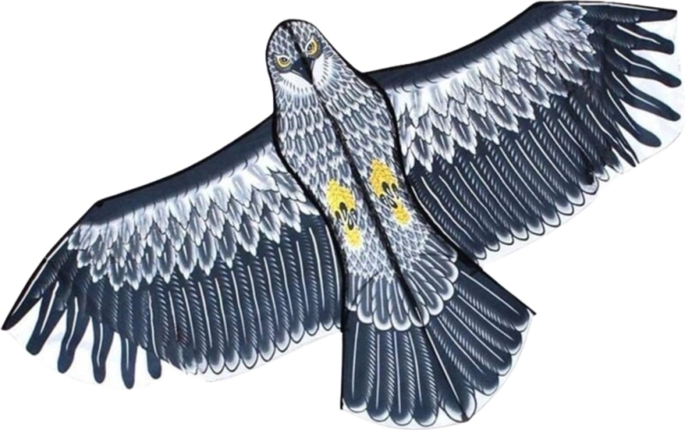 Volo stabile anche per principianti