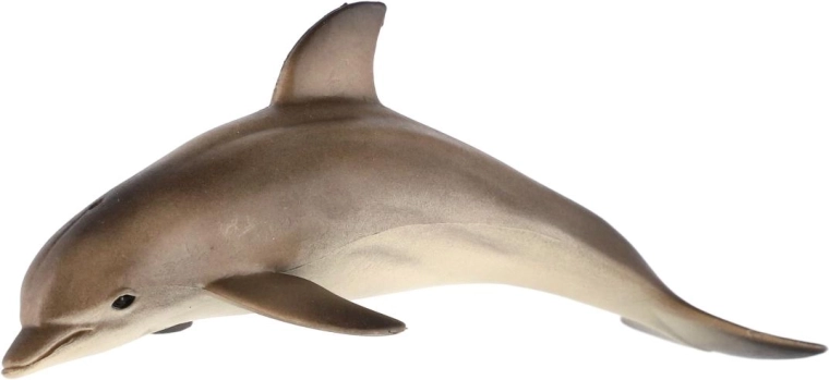 Per i piccoli esploratori degli oceani
