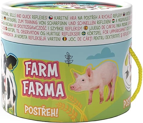 Gioco di carte di osservazione FARMA con poster da colorare