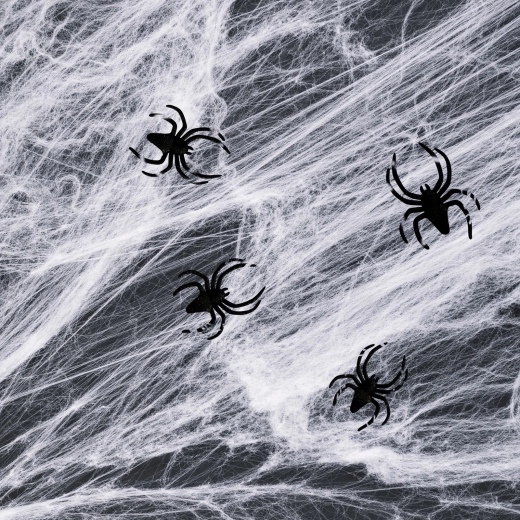 Ragnatela bianca di Halloween con ragni