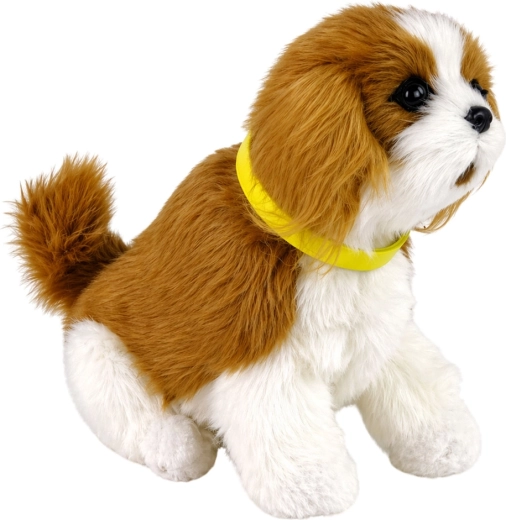 Morbido compagno di peluche