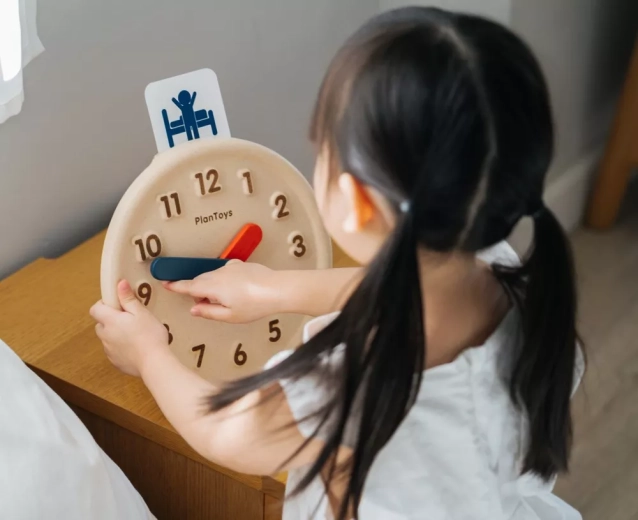 Giocattolo in legno PlanToys ecologico e sicuro