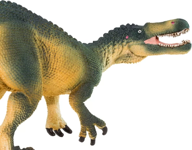 Dettagli fedeli del Suchomimus