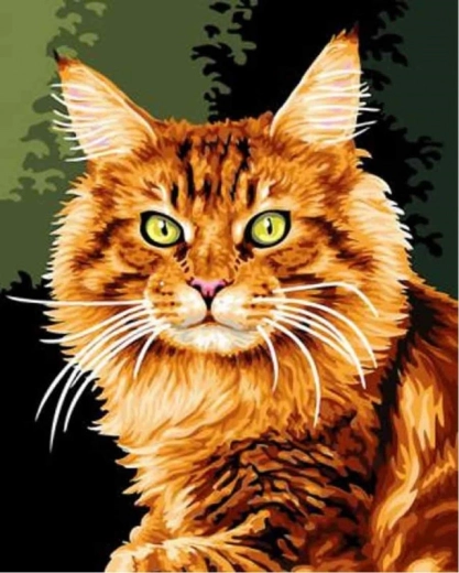 Norimpex pittura con diamanti gatto rosso 30 × 40 cm