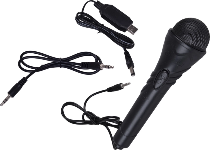 Karaoke e concerti in casa