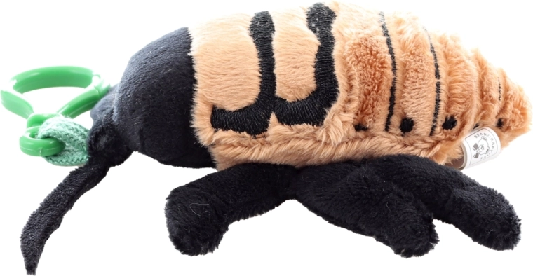 Dimensioni compatte per i viaggi