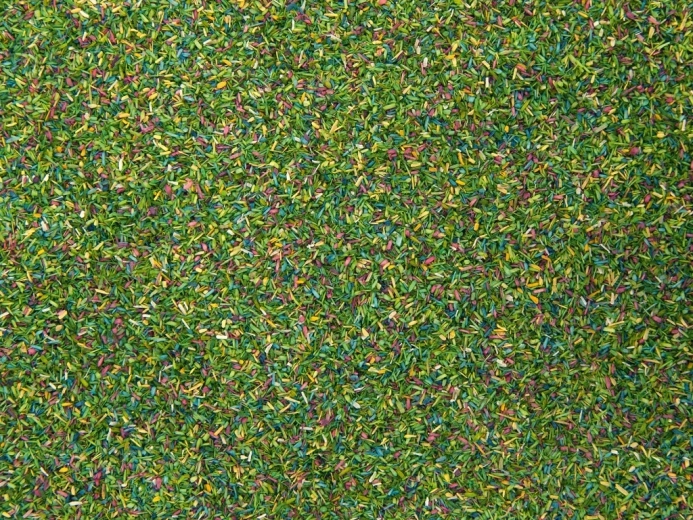 Erba statica Noch Prato fiorito 150 g