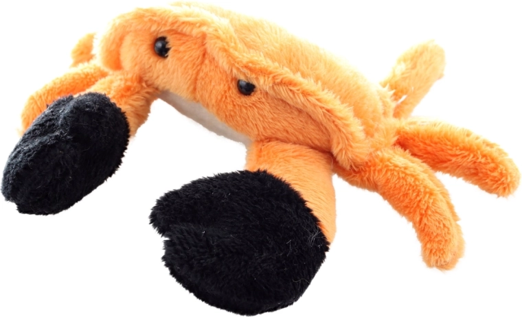 Design adorabile con chele in evidenza