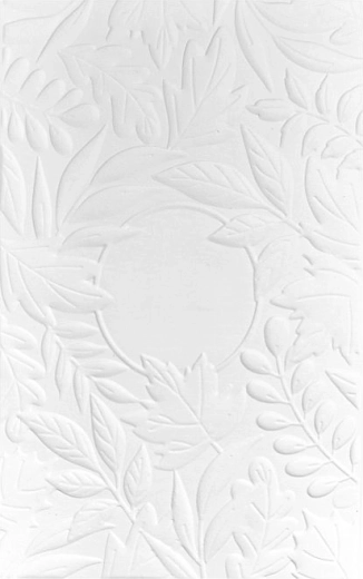 Effetto 3D in rilievo per un effetto wow