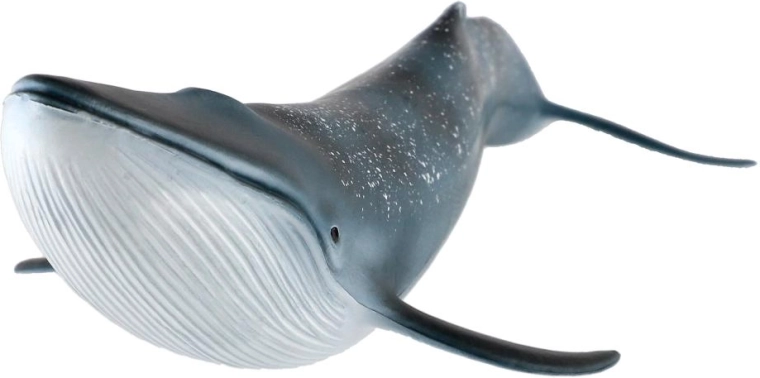Dimensioni 27 cm