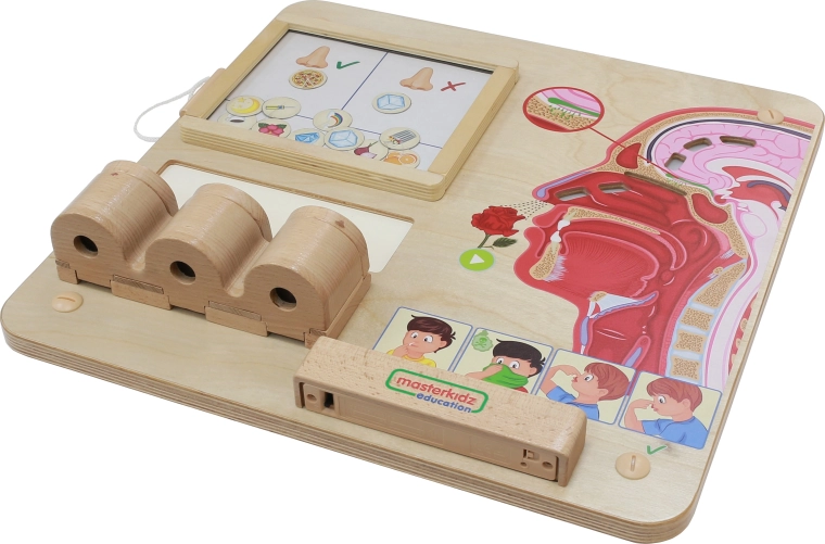 Apprendimento sensoriale attraverso il gioco