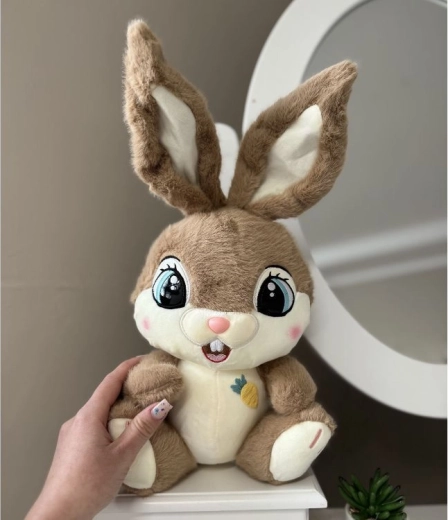 Morbido compagno di peluche