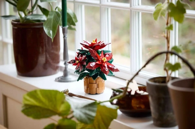 Decorazione senza annaffiatura per casa e ufficio