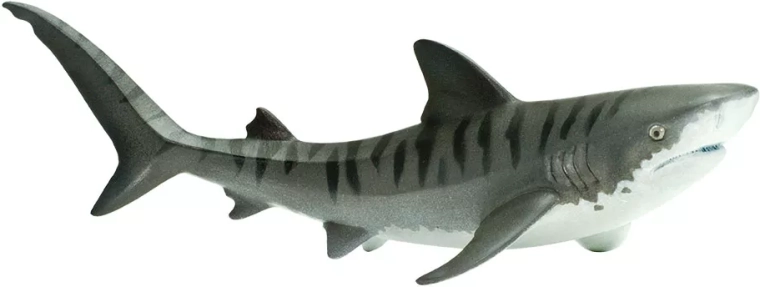 Imparare giocando sui predatori marini