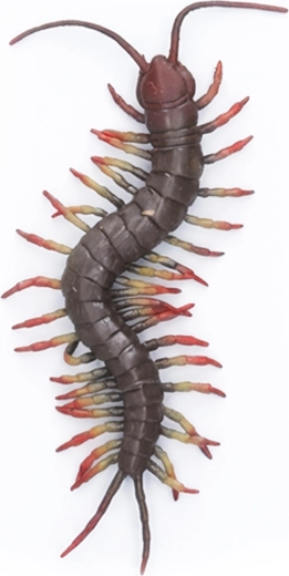 Centopiedi gigante in gomma 23 cm