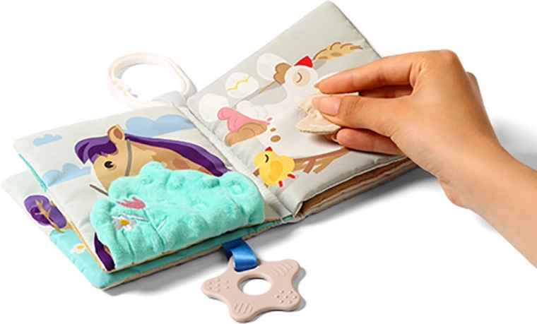 Illustrazioni a contrasto ed elementi interattivi