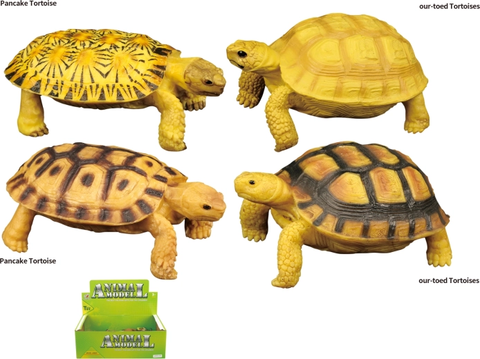 Mondo degli Animali – giocattolo tartaruga, 4 tipi