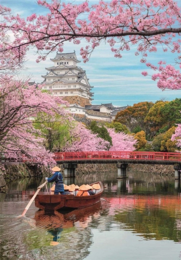 Splendido motivo del Castello di Himeji in primavera