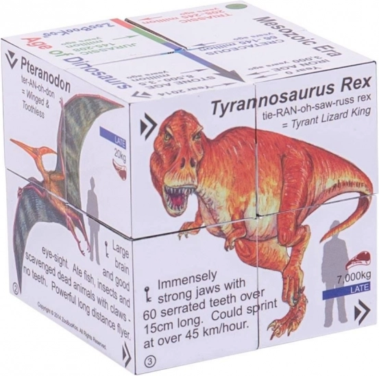Zoobookoo cubo educativo Dinosauri