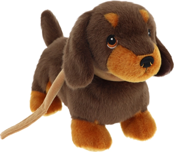 Keeleco cucciolo di bassotto al guinzaglio 23 cm