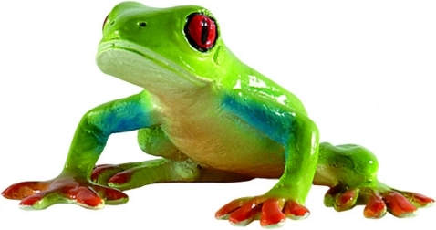 Raganella dagli occhi rossi