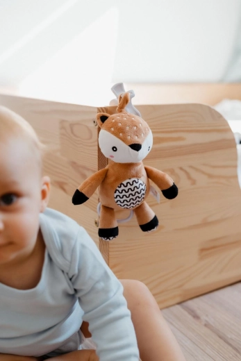 Morbido peluche e forme da scoprire