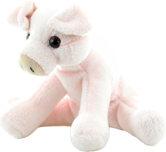 Dimensioni compatte 14 cm