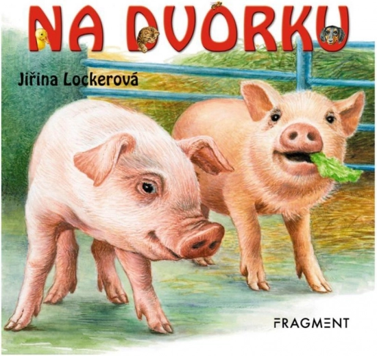 Libro cartonato Na dvorku