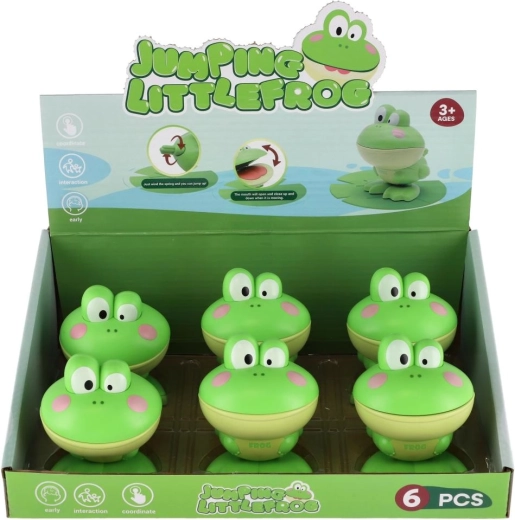 Confezione pratica da 6 pezzi in box