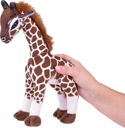 Stabilità per gioco e decorazione