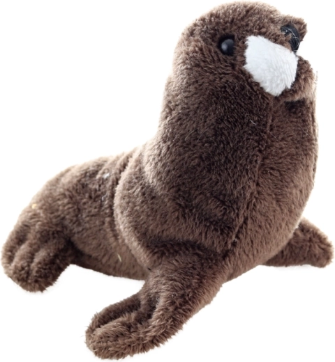 Dimensione ideale 13 cm