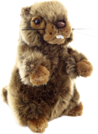 Sicuro dalla nascita