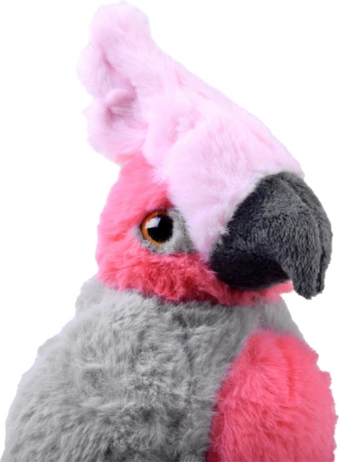 Dimensioni ideali per i viaggi