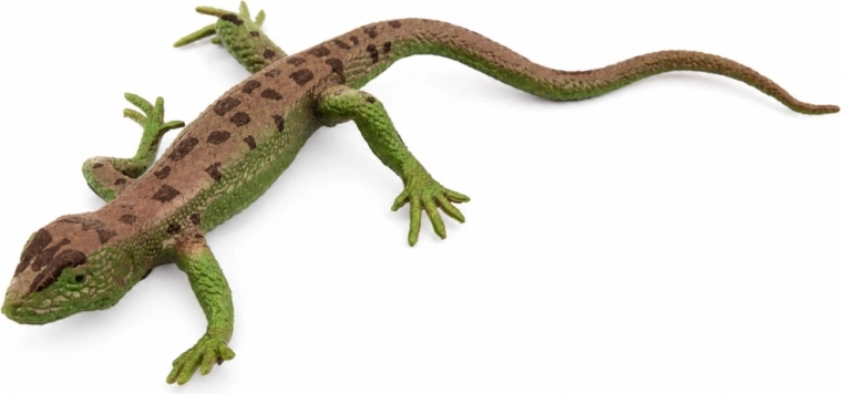Dettagli realistici e colorazione naturale