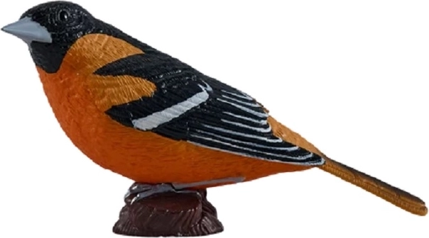 Mojo rigogolo