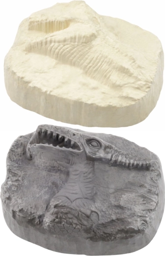 “Fossili” di dinosauro realistici