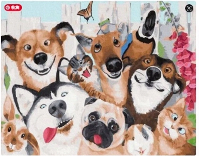 Norimpex pittura con numeri cani e gatti 40 × 50 cm