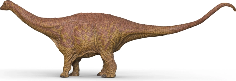 Posizione stabile per gioco ed esposizione