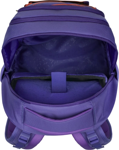 Organizzazione intelligente e protezione dell’elettronica