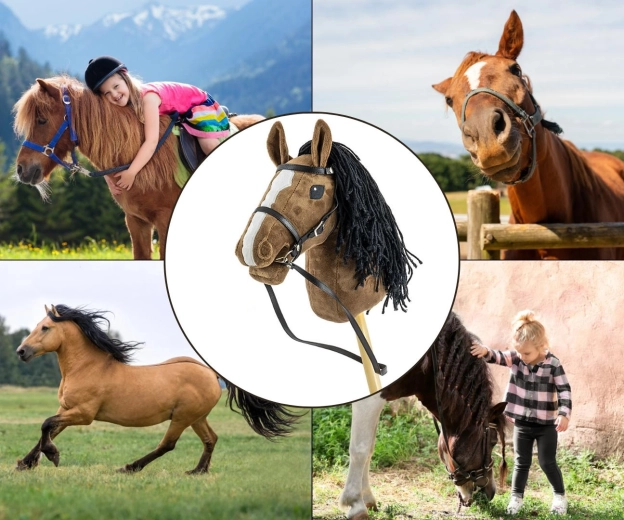 Redini per giocare al vero cavaliere